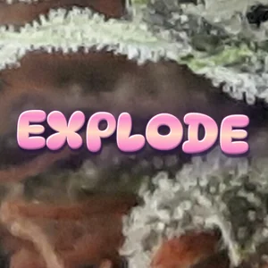 Explode Cannabis Strain