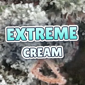 Extreme Cream Cannabis Strain