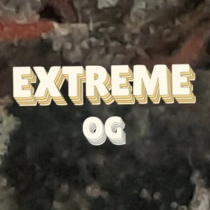 Extreme OG Cannabis Strain