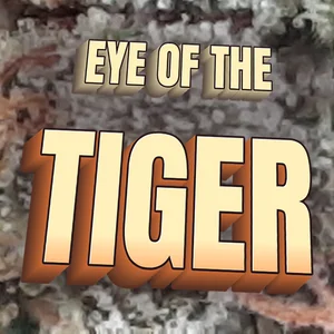 Eye of the Tiger Cannabis Strain