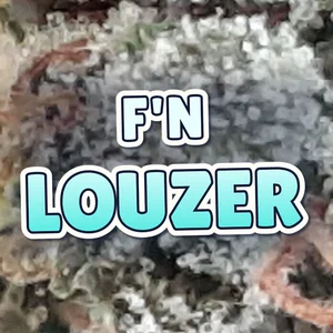 F'n LouZER Cannabis Strain