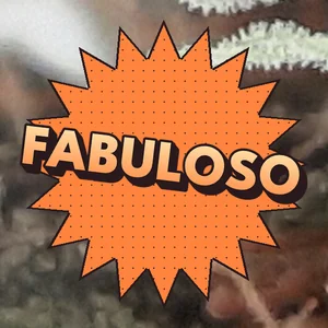 Fabuloso Cannabis Strain