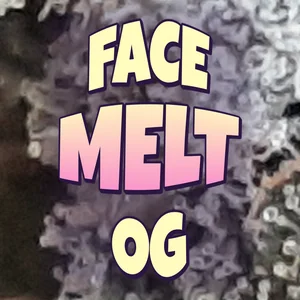 Face Melt OG Cannabis Strain