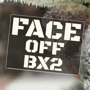 Face Off Bx2 Cannabis Strain