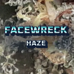 Facewreck Haze Cannabis Strain
