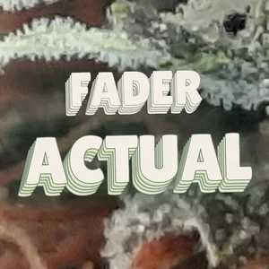 Fader Actual Cannabis Strain