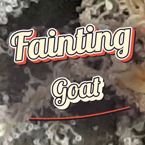 Fainting Goat Cannabis Strain