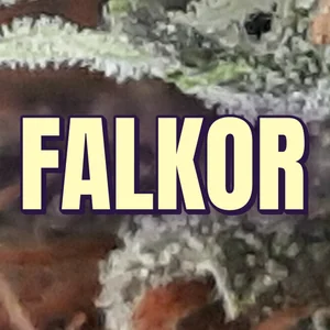 Falkor Cannabis Strain
