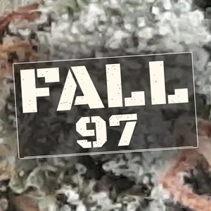 Fall 97 Cannabis Strain