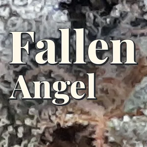 Fallen Angel Cannabis Strain