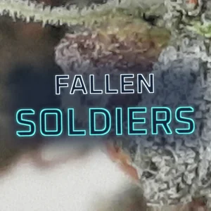 Fallen Soldiers Cannabis Strain