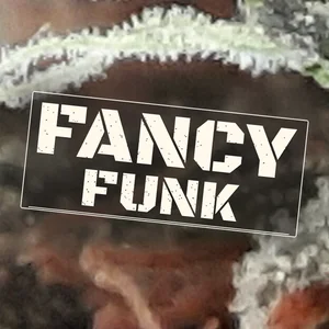 Fancy Funk Cannabis Strain