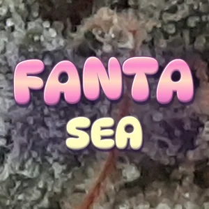 Fanta Sea Cannabis Strain