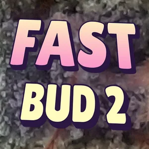 Fast Bud 2 Cannabis Strain