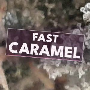 Fast Caramel Cannabis Strain