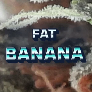 Fat Banana Cannabis Strain