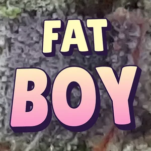 Fat Boy Cannabis Strain