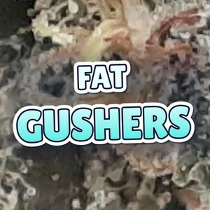 Fat Gushers Cannabis Strain