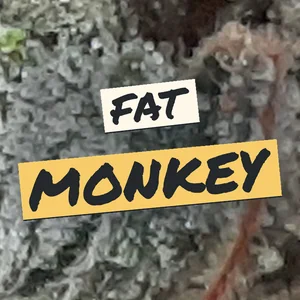 Fat Monkey Cannabis Strain