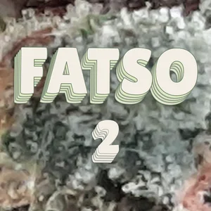 Fatso 2 Cannabis Strain