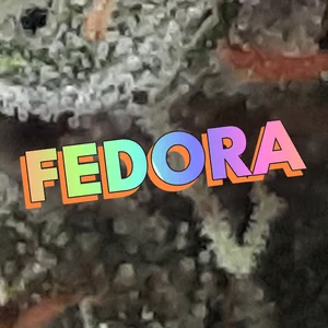 Fedora Cannabis Strain