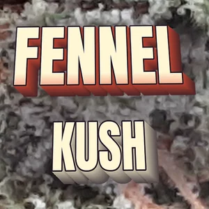 Fennel Kush Cannabis Strain