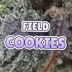 Field Cookies Cannabis Strain