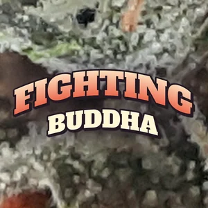 Fighting Buddha Cannabis Strain