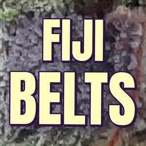 Fiji Belts Cannabis Strain
