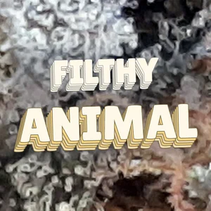 Filthy Animal Cannabis Strain