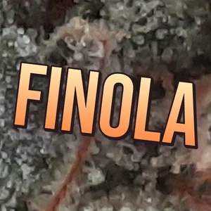 Finola Cannabis Strain