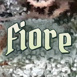 Fiore Cannabis Strain