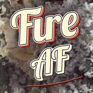 Fire AF Cannabis Strain
