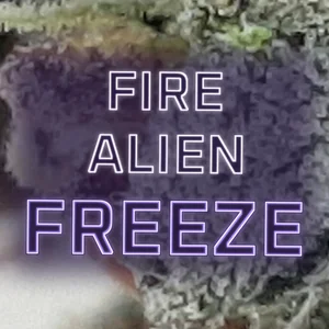 Fire Alien Freeze Cannabis Strain