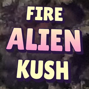 Fire Alien Kush Cannabis Strain