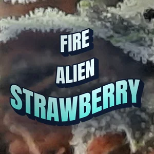 Fire Alien Strawberry Cannabis Strain
