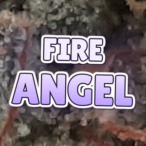 Fire Angel Cannabis Strain