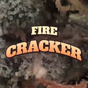 Fire cracker Cannabis Strain
