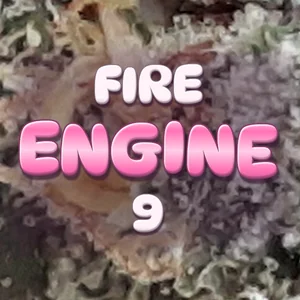 Fire Engine 9 Cannabis Strain