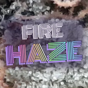 Fire Haze Cannabis Strain