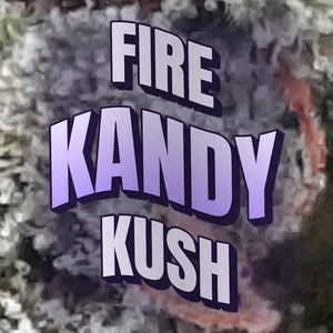 Fire Kandy Kush Cannabis Strain