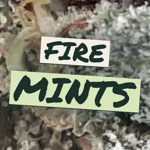 Fire Mints Cannabis Strain