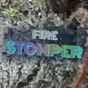 Fire Stomper Cannabis Strain