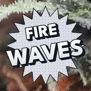 Fire Waves Cannabis Strain