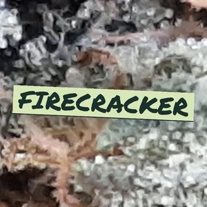 Firecracker Cannabis Strain