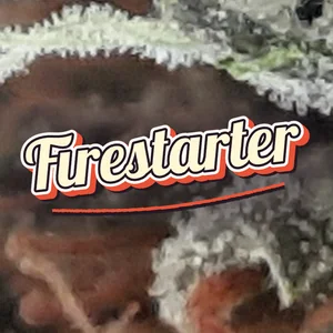 Firestarter Cannabis Strain