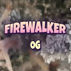 Firewalker OG Cannabis Strain