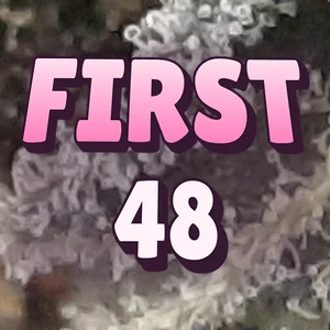 First 48 Cannabis Strain