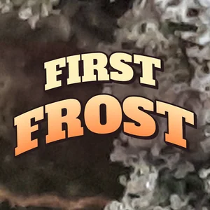 First Frost Cannabis Strain