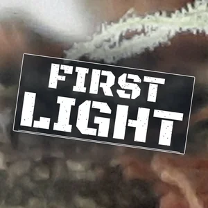First Light Cannabis Strain